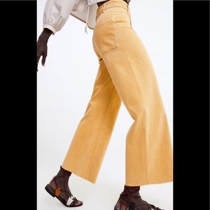 Zara Marine Straight Denim in Mustard
